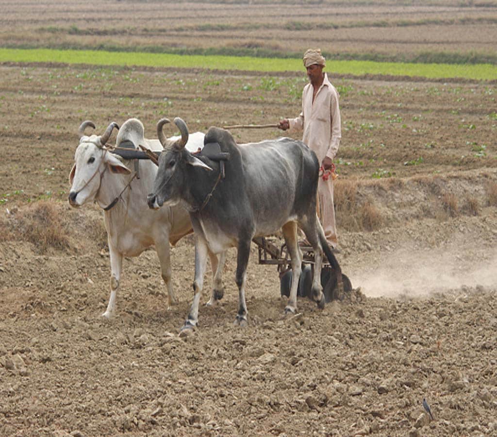 पिता-दादा के नाम पर है खेत, ऐसे किसानों को नहीं मिलेगी 2000 की किस्त