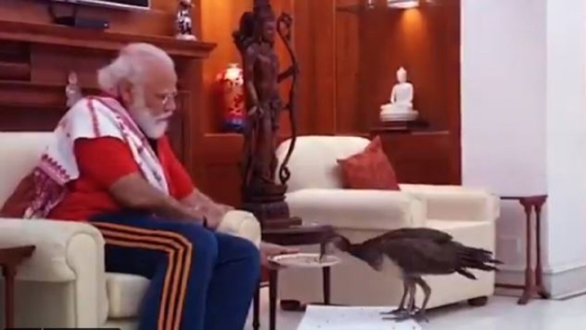 पीएम मोदी का प्रकृति प्रेम