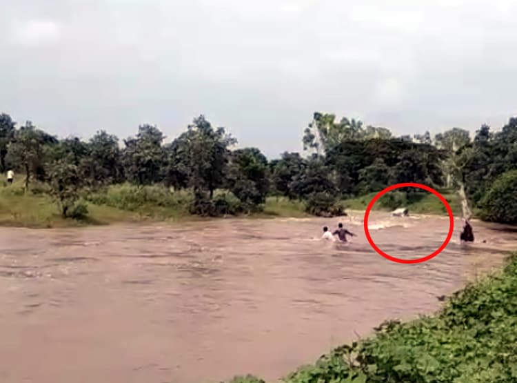देखते ही देखते नाले में बह गई वैन, अंदर बैठे थे 4 लोग