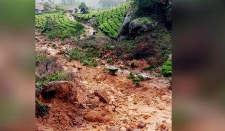 मुन्नार: मलबे में दफन हो गए मालिक, पालतू कुत्ते अब भी देख रहे राह