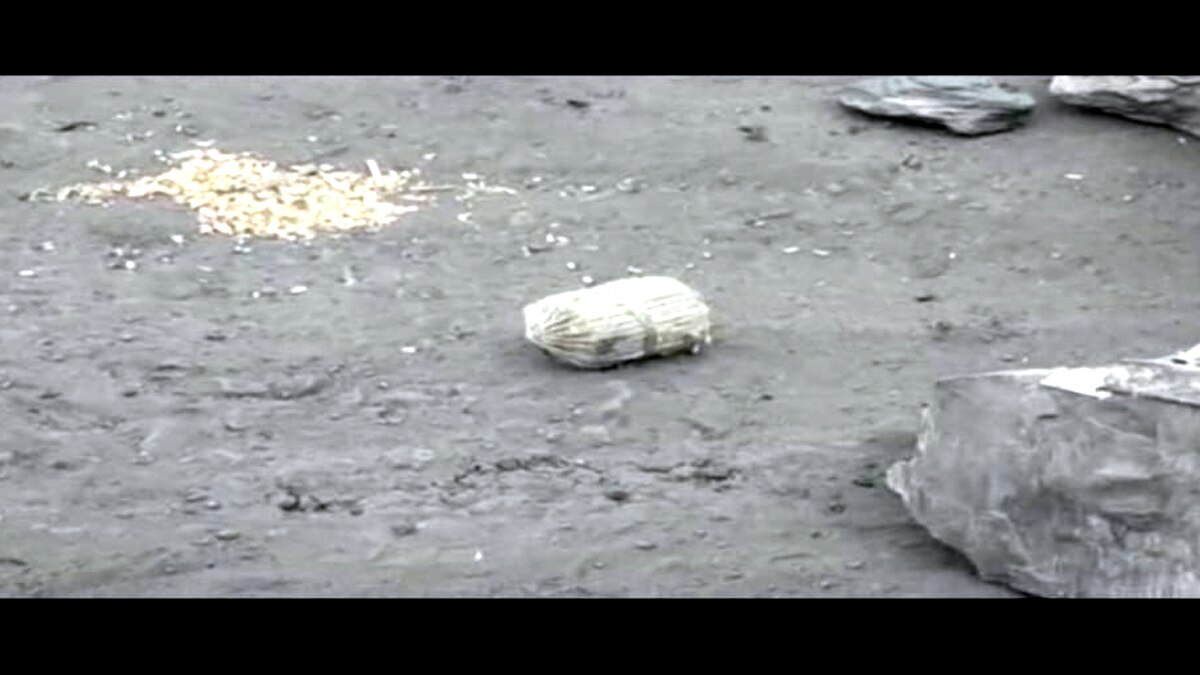 गैंगवार.