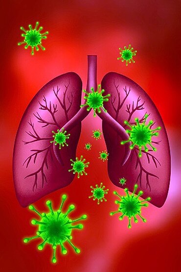 कोरोना से खतरनाक है ये बीमारी, हर साल सबसे ज्यादा लोगों की मौत इसी से