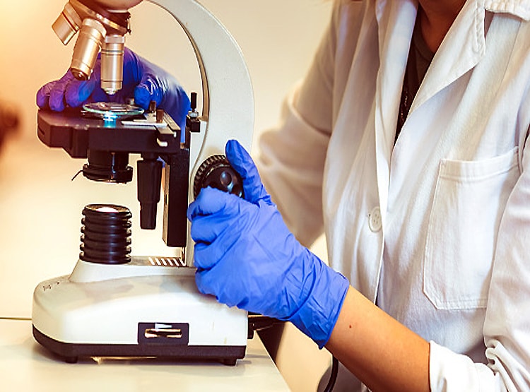 US की लैब में बना था कोरोना वायरस, चूहे को किया था संक्रमित: रिपोर्ट में दावा