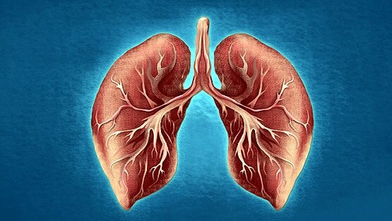 कोरोना से खतरनाक है ये बीमारी, हर साल सबसे ज्यादा लोगों की मौत इसी से