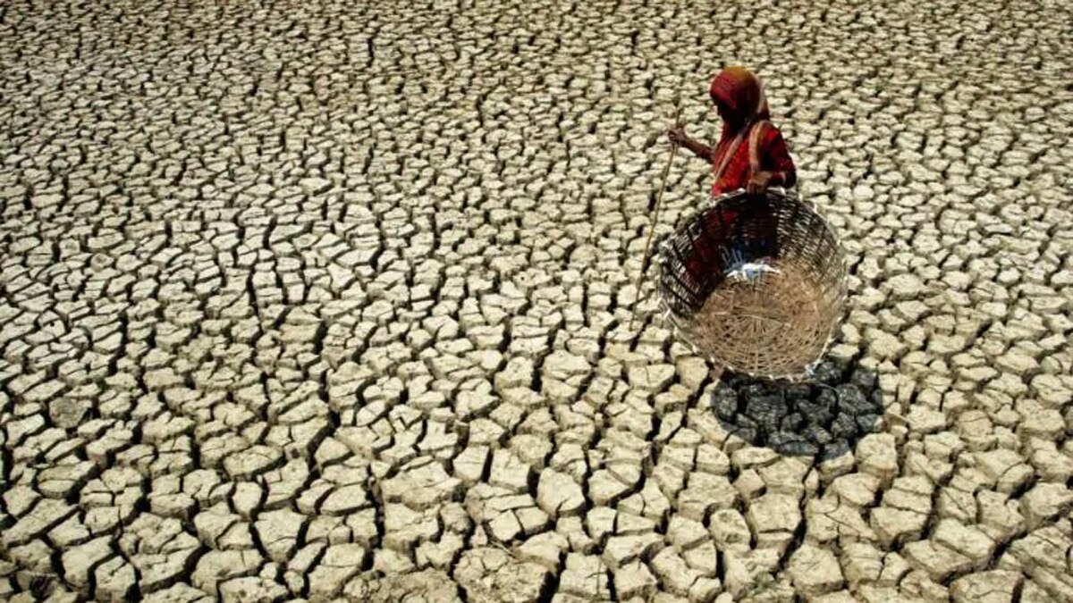प्रतीकात्मक फोटो.