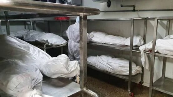 मोहाली: मॉर्चरी में रखा था महिला का शव, चूहे खा गए होंठ और कान