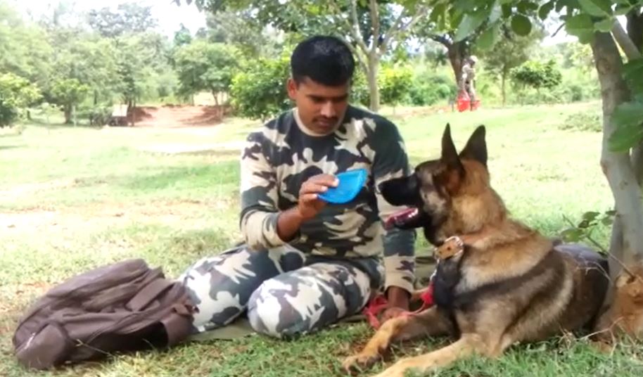 श्वान दस्ता