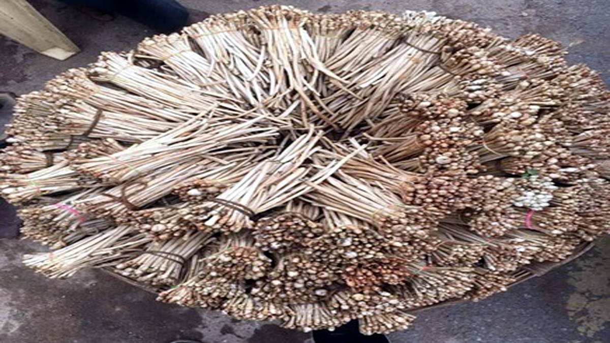 1200 Rupees Per KG Vegetable Khukhadi 1200 Rupees Per KG Vegetable Khukhadi