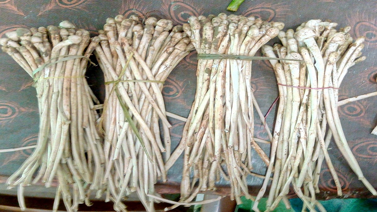 1200 Rupees Per KG Vegetable Khukhadi