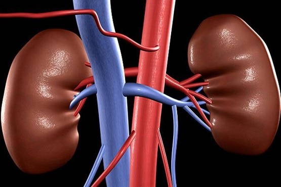 किडनी को कितना नुकसान?
