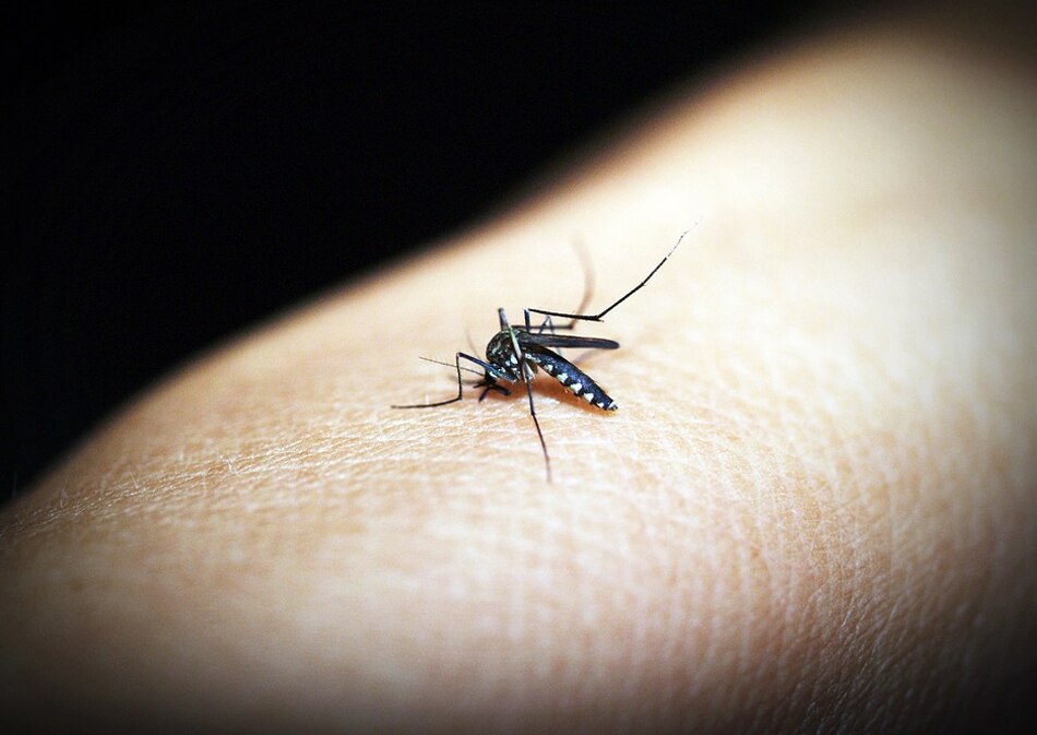 डी-हाइड्रेशन से बचें