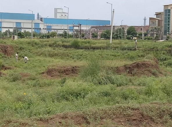 अलवर में महिला की बेरहमी से हत्या, टुकड़े कर सड़क किनारे फेंका शव