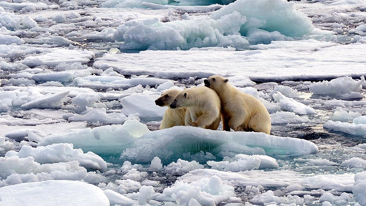 Earth has lost 28 trillion tonnes of ice