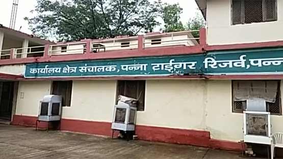 पन्ना टाइगर रिजर्व में बाघों की मौत जारी, 7 माह के अंदर 5वीं मौत