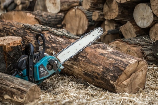 कृष्ण जन्माष्टमी आज,  भूलकर भी ना करें ये गलतियां