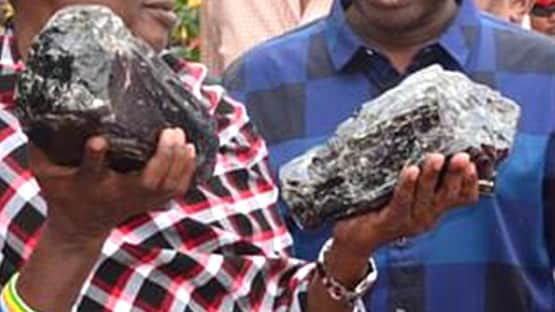 खुदाई करते-करते युवक को मिली ऐसी बेशकीमती चीज, 14 करोड़ रुपये में बिकी