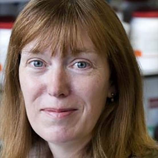 कोरोना वैक्सीन पर क्यों ऑक्सफोर्ड के दो वैज्ञानिकों में हो रहा टकराव