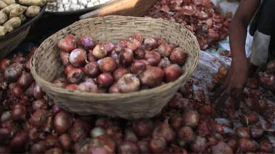 US में संक्रमित प्याज खाने से सैकड़ों बीमार, 60 लोग अस्पताल में भर्ती