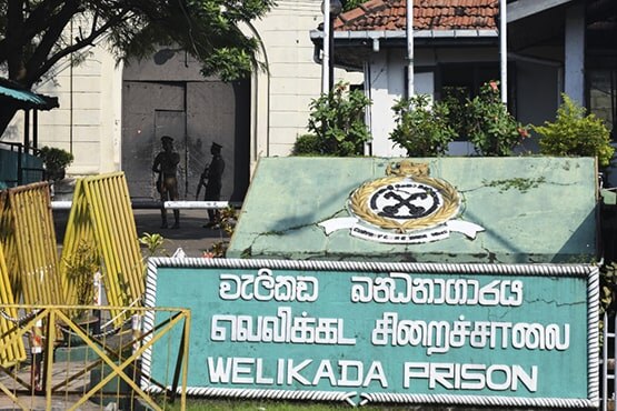 'गंभीर अपराध' के लिए बिल्ली गिरफ्तार, लेकिन फिर जेल से हो गई फरार