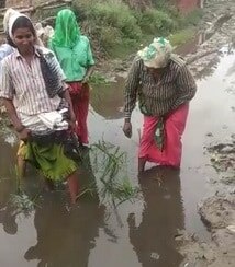 गलियों में भरा नाली का पानी, विरोध में किसानों ने सड़क पर की रोपाई