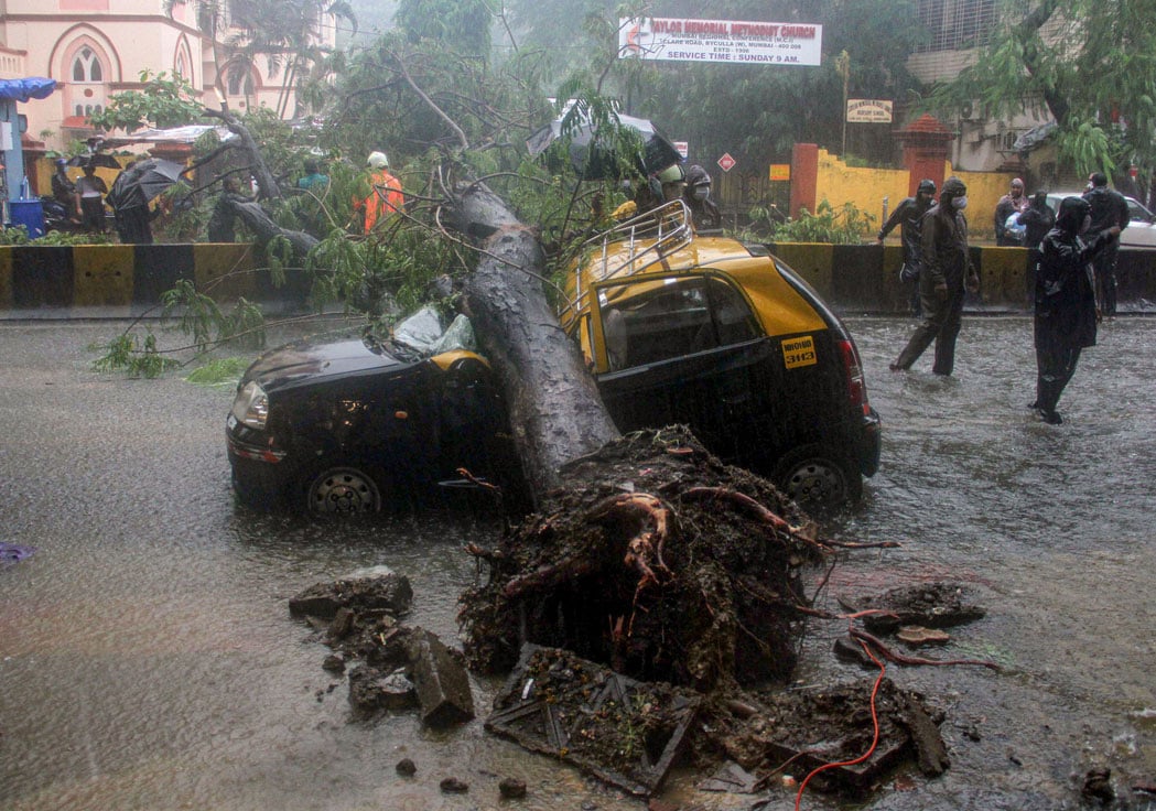 सड़कों पर सैलाब, गाड़ियों पर पेड़: मुंबई में बारिश के कहर की भयावह तस्वीरें