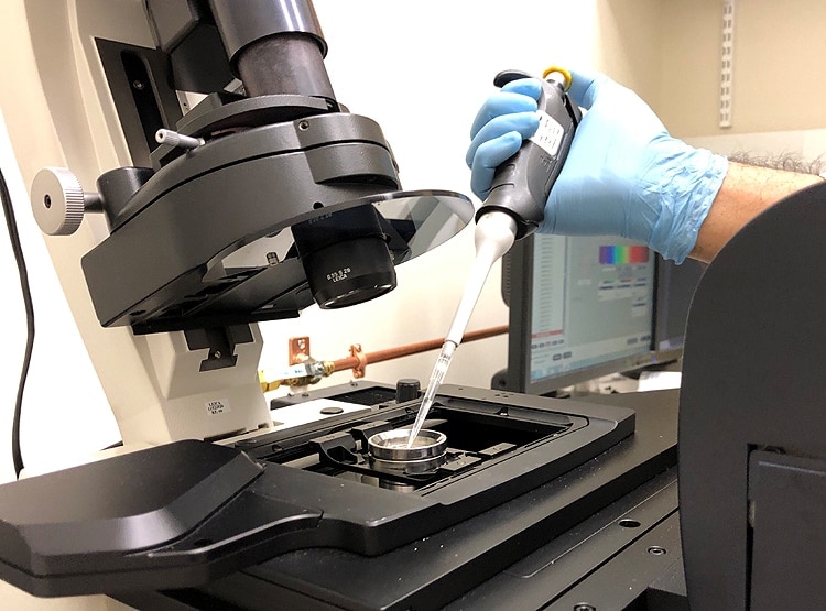 US की लैब में बना था कोरोना वायरस, चूहे को किया था संक्रमित: रिपोर्ट में दावा