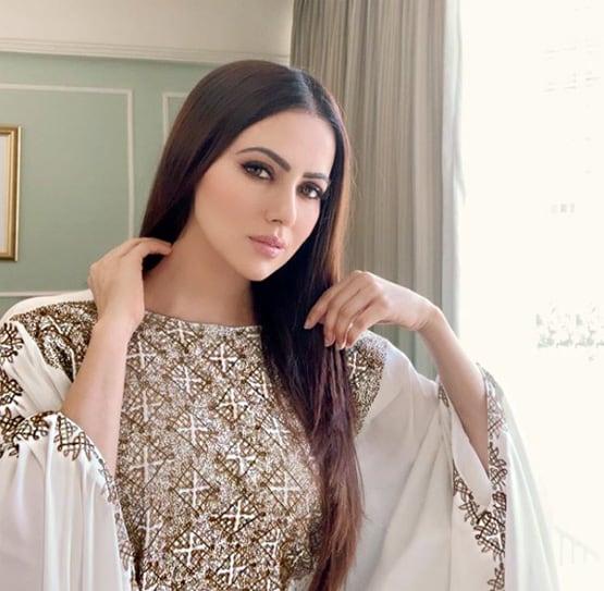 बिग बॉस में फाइनलिस्ट, सलमान संग फिल्म, फिर भी हिट नहीं सना खान