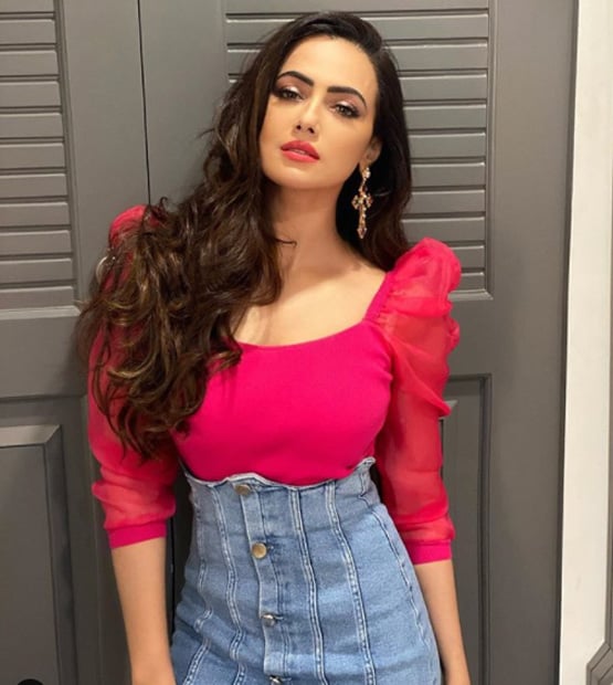 बिग बॉस में फाइनलिस्ट, सलमान संग फिल्म, फिर भी हिट नहीं सना खान