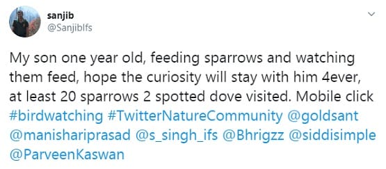 चिड़ियों को दाना चुगाते दिखा एक साल का बच्चा, तस्वीरें वायरल