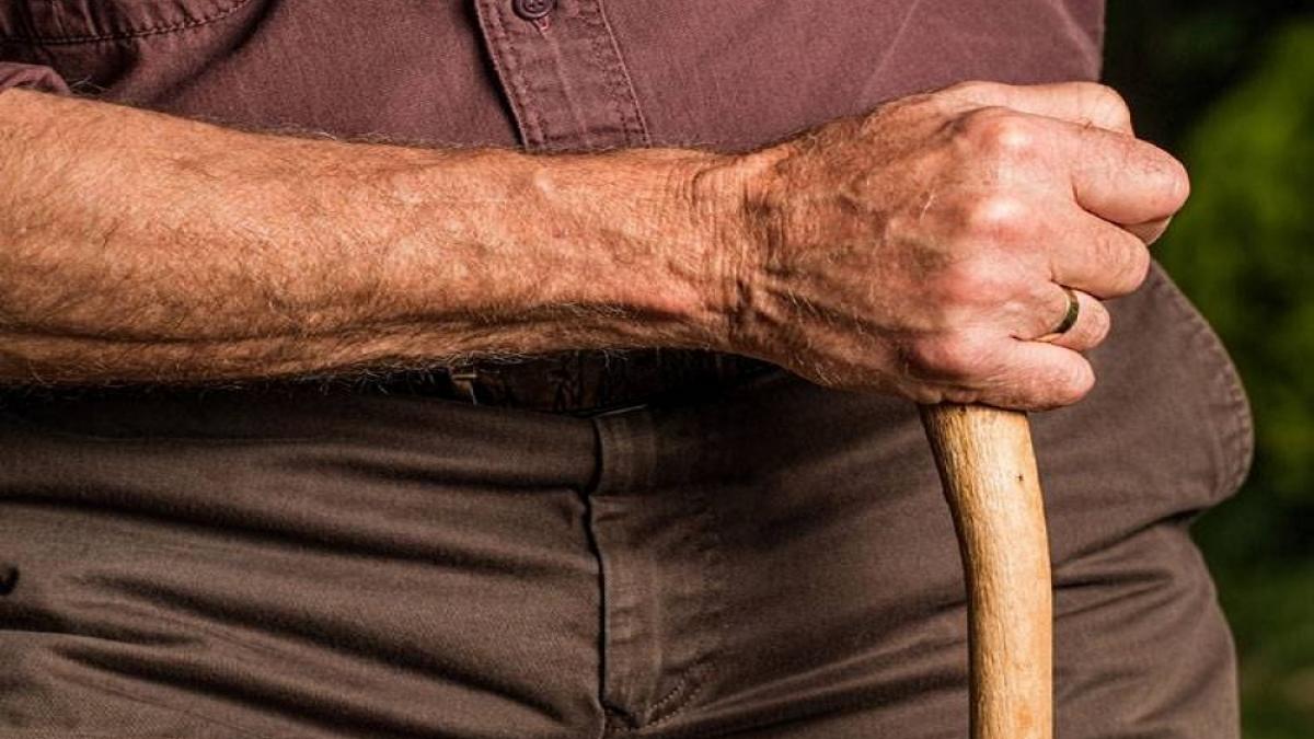 पीपीओ को ‘डिजिलॉकर’ में सुरक्षित रख सकते हैं