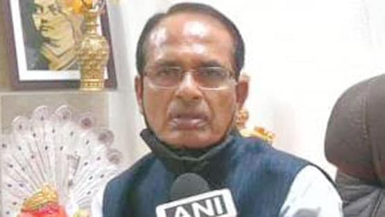 पन्ना टाइगर रिजर्व में हाथी ने रेंजर को पटक-पटक कर मार डाला