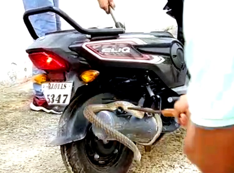 स्कूटी में घुसा सांप तो ढाई घंटे चला रेस्क्यू, इस तरीके से निकला बाहर