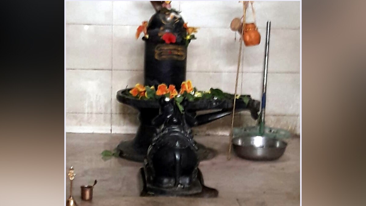 मंदिर में नाग.