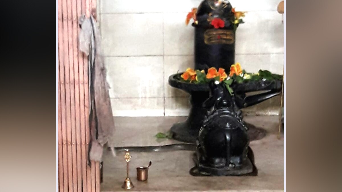 मंदिर में नाग.