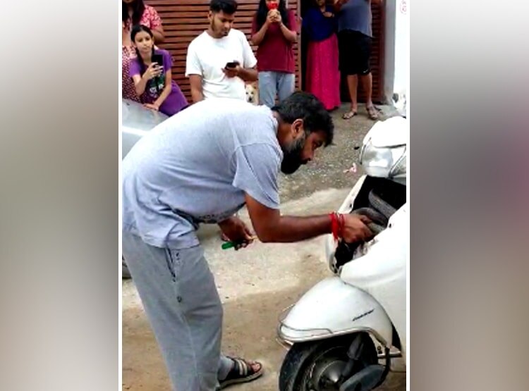 एक्टिवा के अगले हिस्से को खोला तो... अंदर फन फैलाकर बैठा था नाग