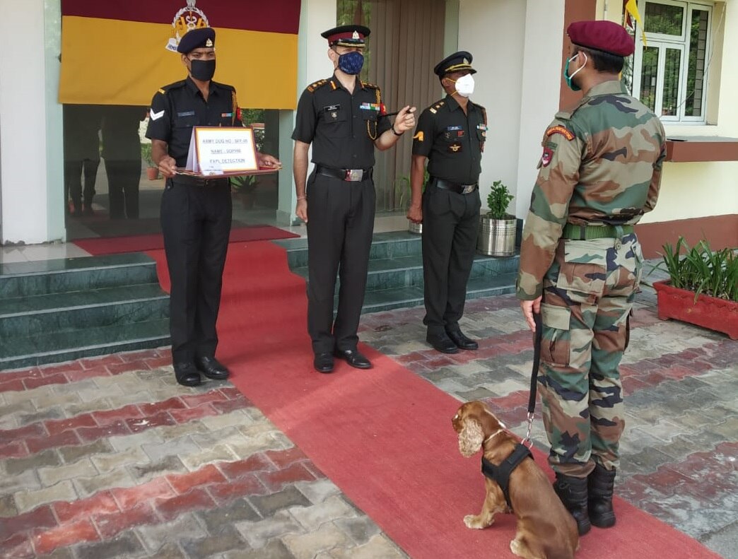 श्वान दस्ता