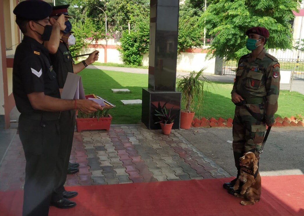 श्वान दस्ता