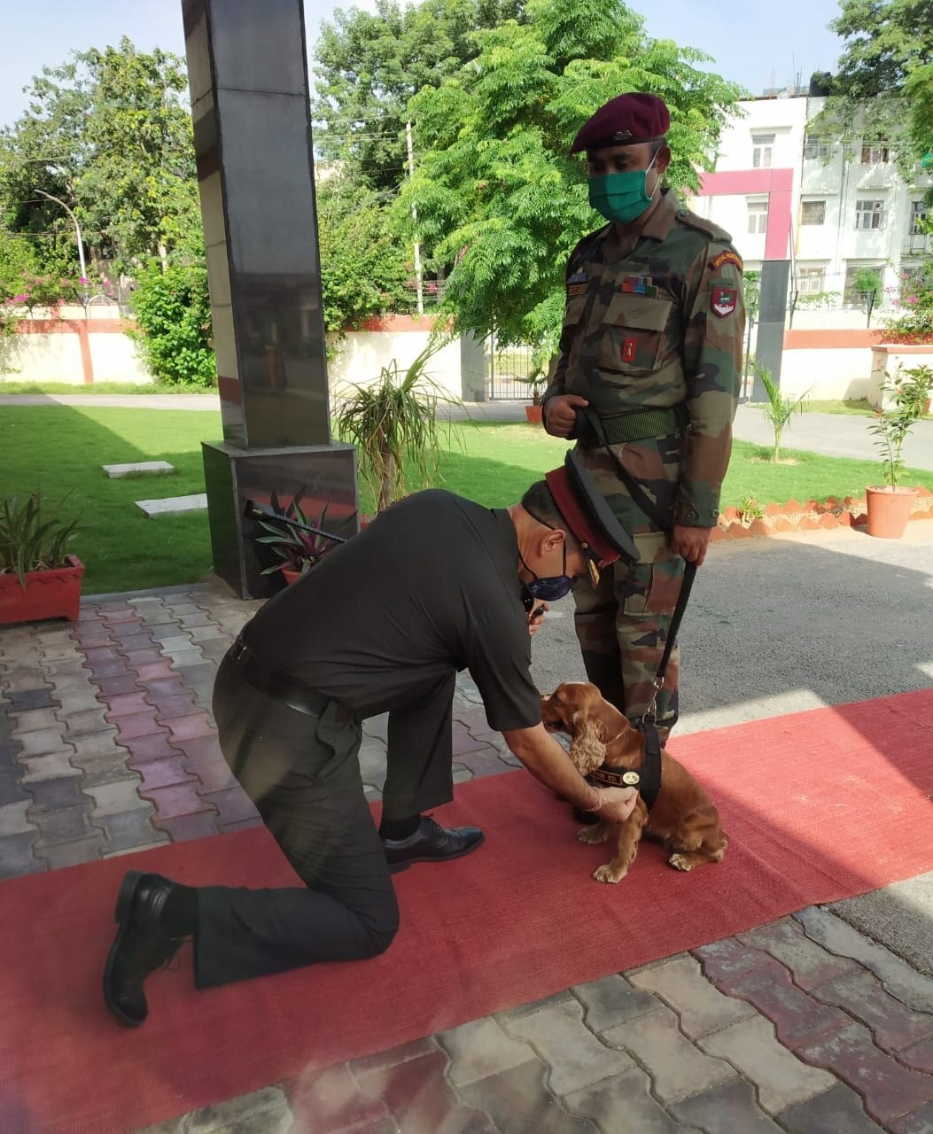 श्वान दस्ता