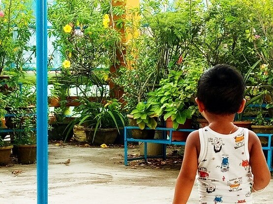 चिड़ियों को दाना चुगाते दिखा एक साल का बच्चा, तस्वीरें वायरल