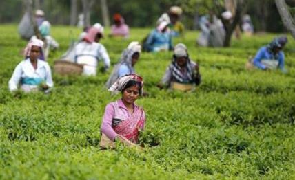 ये है नियम