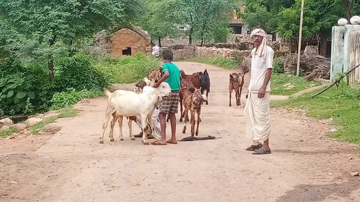 राजस्थान का सर्र गांव (फोटो आजतक)