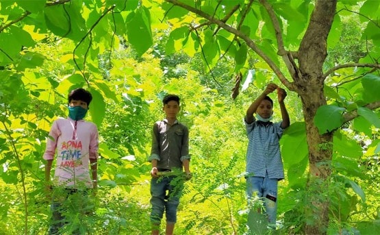 आदिवासी बच्चों ने पेड़ को बांधी 30 फीट लंबी राखी, लिया ये संकल्प