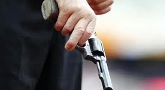 अवैध हथियार फैक्ट्री पर छापा, कई पिस्टल और गोली बरामद