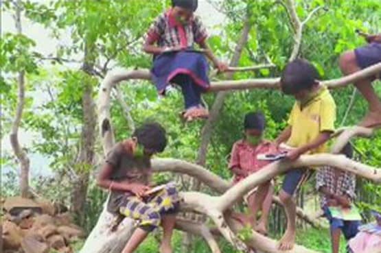 गांव में नेटवर्क की कमी, पेड़ पर बैठ बच्चे ले रहे ऑनलाइन क्लासेज