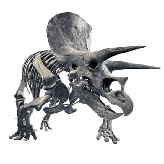 डायनासोर को भी होता था कैंसर, जानें हैरान करने वाले खुलासे