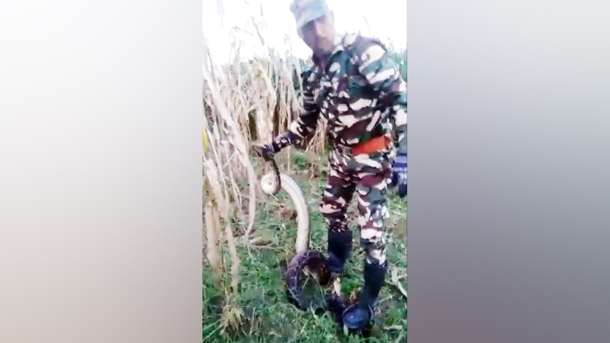 Photo Video Grab ANI