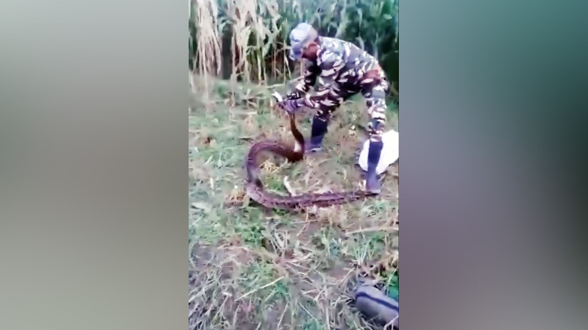 Photo Video Grab ANI