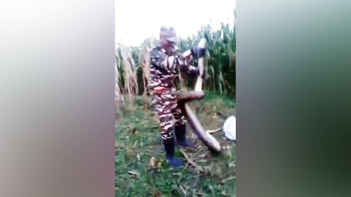 Photo Video Grab ANI