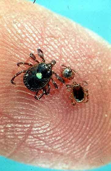 चीन में फैल रहा नया वायरस, 60 लोग बीमार, 7 लोगों की मौत