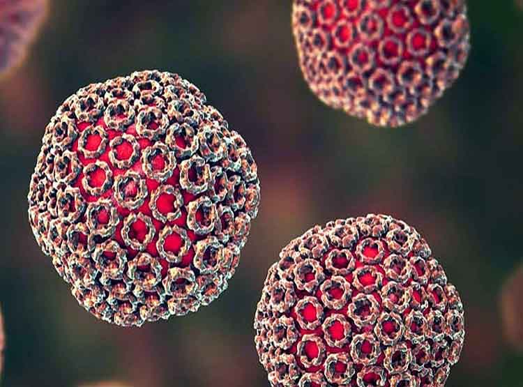 चीन में फैल रहा नया वायरस, 60 लोग बीमार, 7 लोगों की मौत